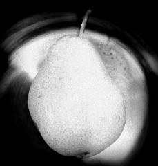 37267143212_1b9f81b188_m